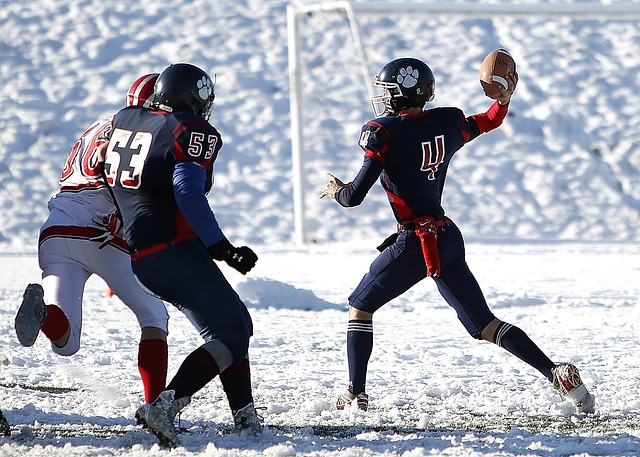 凭借出色的 凭借出色的