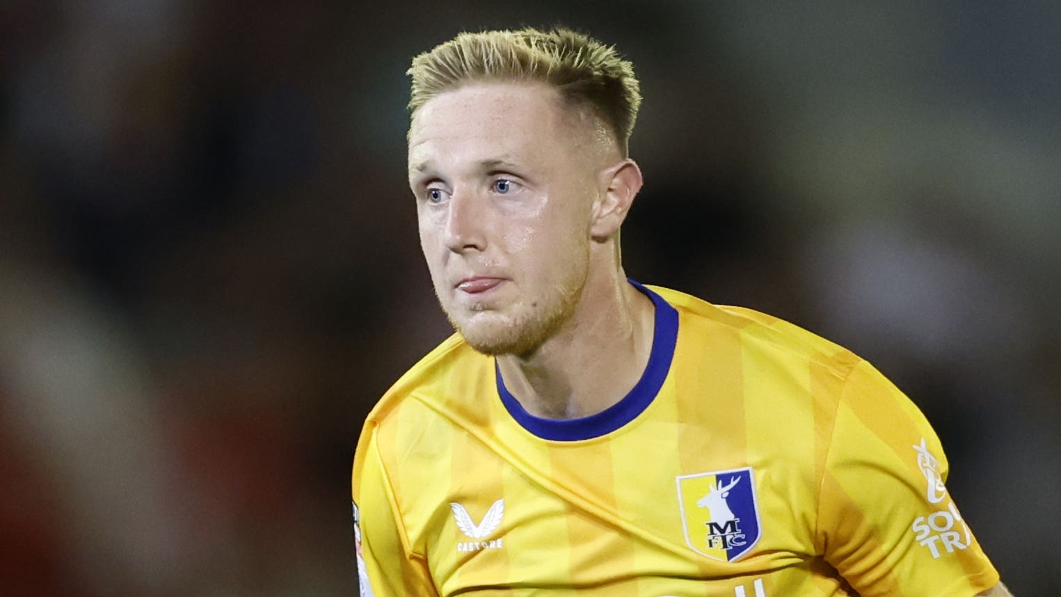 塞蒂恩的 塞蒂恩的