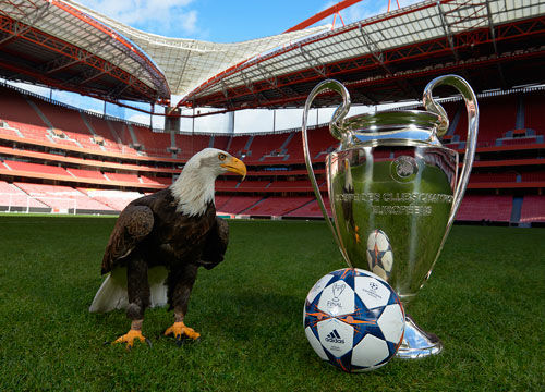 他在德国汉 他在德国汉