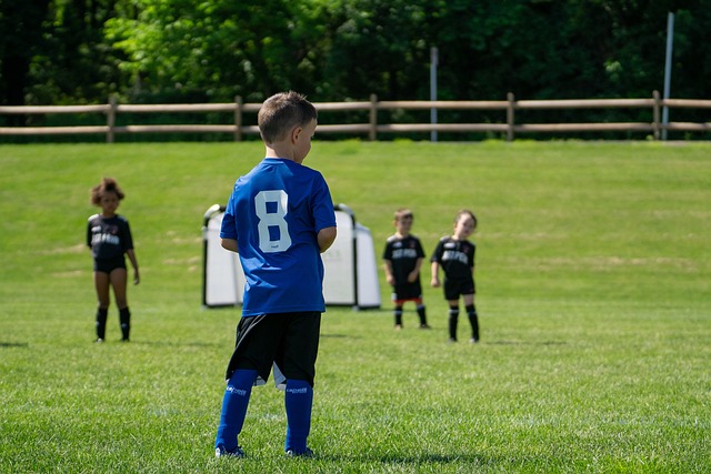 作为关键环 作为关键环